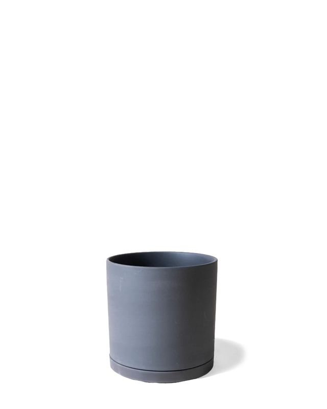 Dojo Porcelain Modern Pot w/ Saucer | Black 3.5