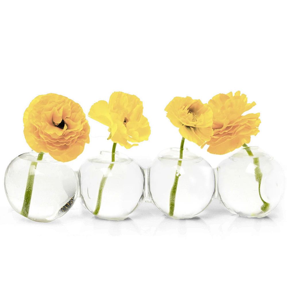 Caterpillar Glass Modern Clear Flower Vase | Big