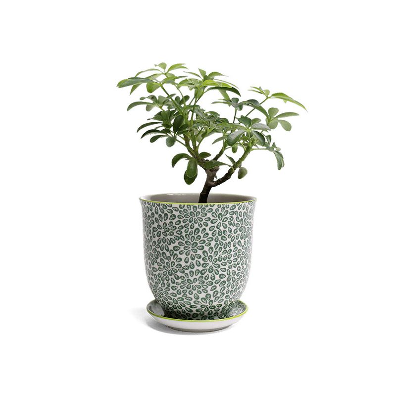 Liberte Small Porcelain Pot / Saucer | 3.25 | Green Leaves 3