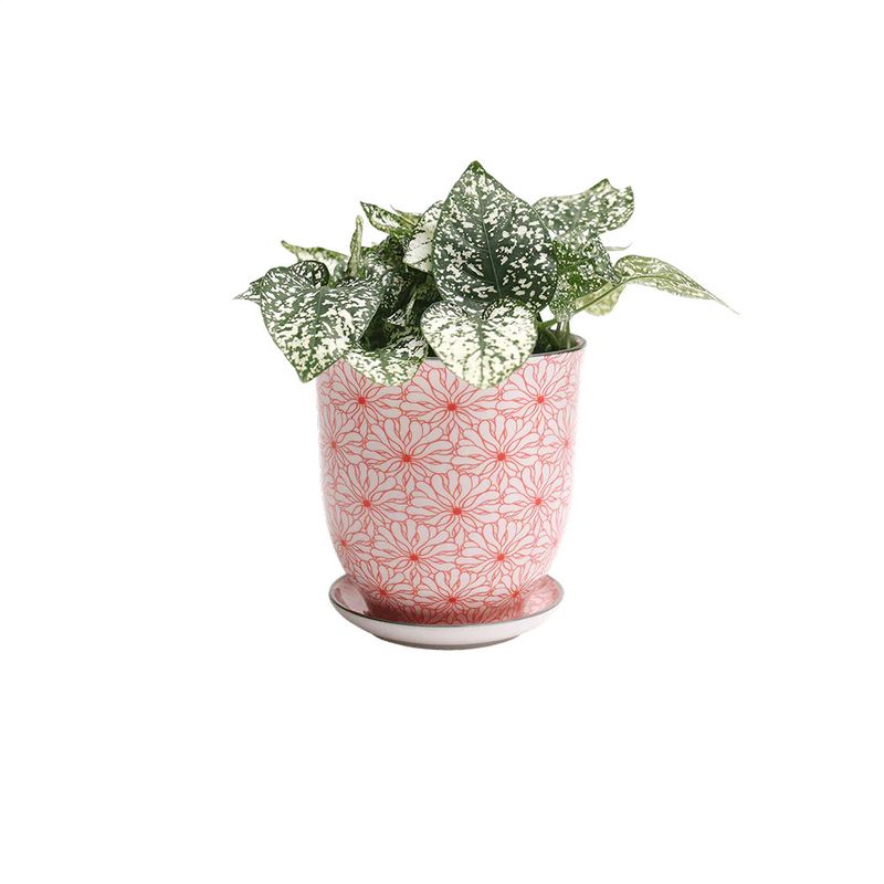 Liberte Small Porcelain Pot / Saucer | 3.25 | Red Flowers