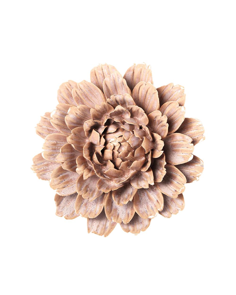 Pink Sand Brocade Marigold Flower