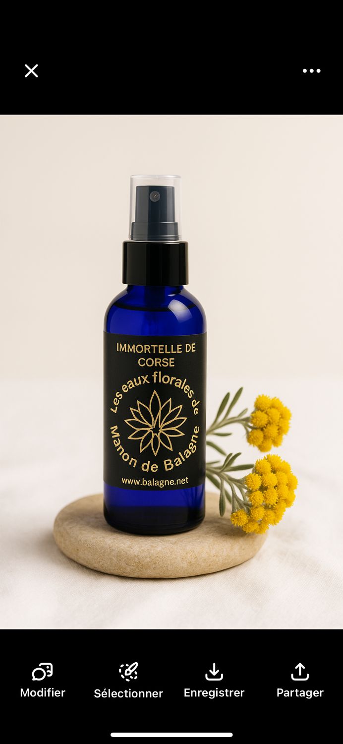 Eau florale d'immortelle de corse hélichryse italienne
