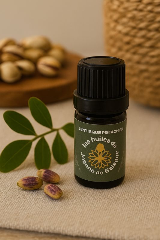 Huile essentielle de lentisque pistachier pistacia lentiscus