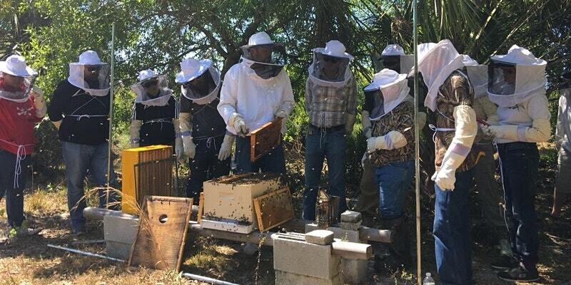 Intro to Beekeeping | Become a Beekeeper 2-day Hands-On Workshop