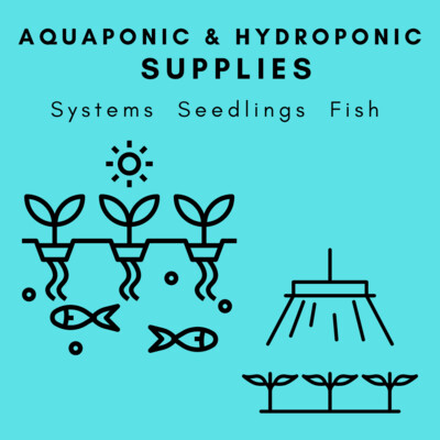 Aquaponics & Hydroponics