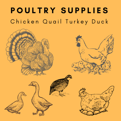 Pastured Poultry & Gamebirds