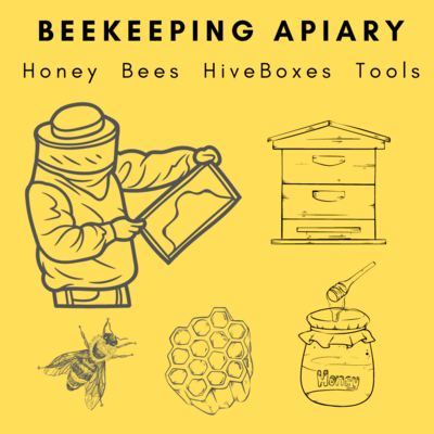 Beekeeping | Apiculture