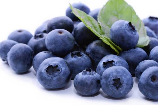 Blueberries | Organic FL grown