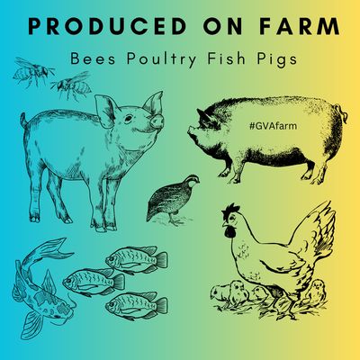 Farm Raised Livestock | Live Bees | Eggs | Pastured Meats