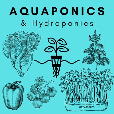 Aquaponics &amp; Hydroponics