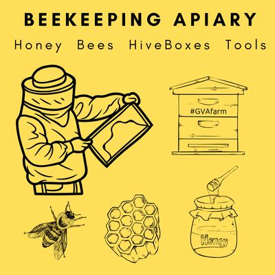 Apiculture | Beekeeping