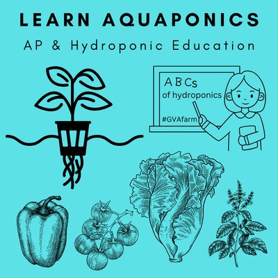 Aquaponics Education