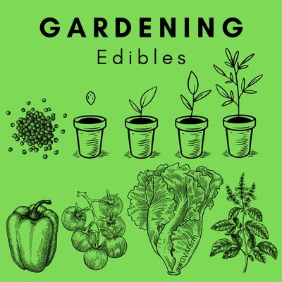 Gardening | Nursery | Seeds, Seedlings &amp; Supplies