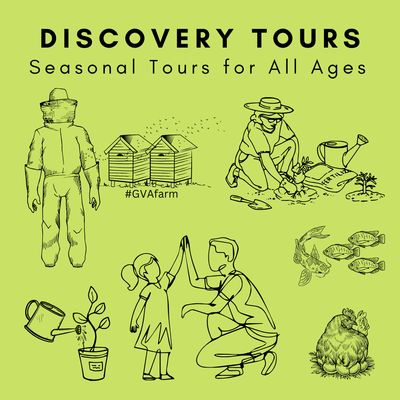Discovery Tours