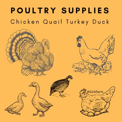 Poultry Supplies