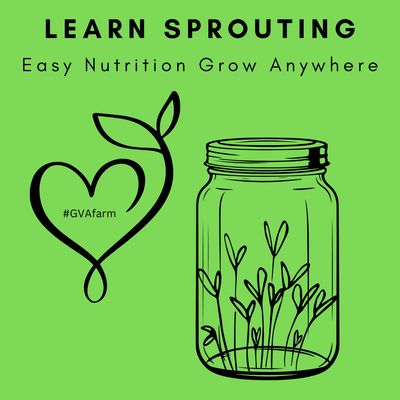 Sprouting