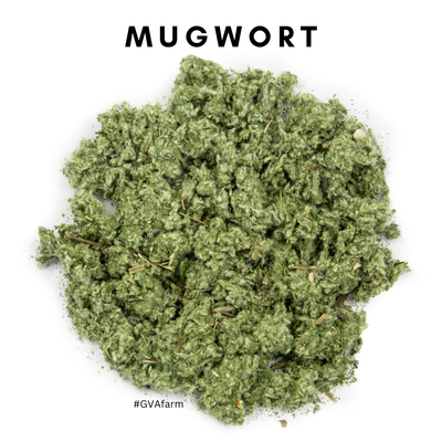 Herbs by the gram | Mugwort | Dried Leaves | Cut & Sifted | Organic Kosher