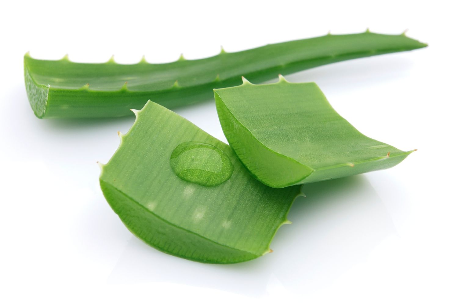 Aloe | GVA grown