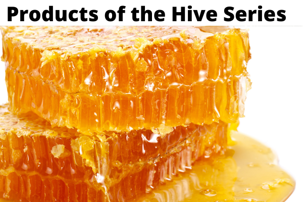Comb &amp; Chunk Honey | Make n Take Workshop