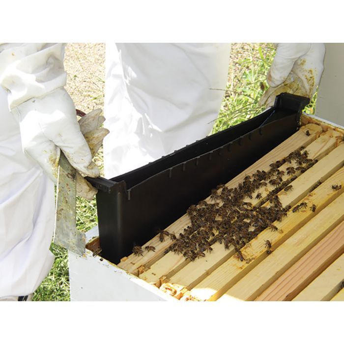 Bee Basics | Feeder Division Board InFrame | 1 Gallon