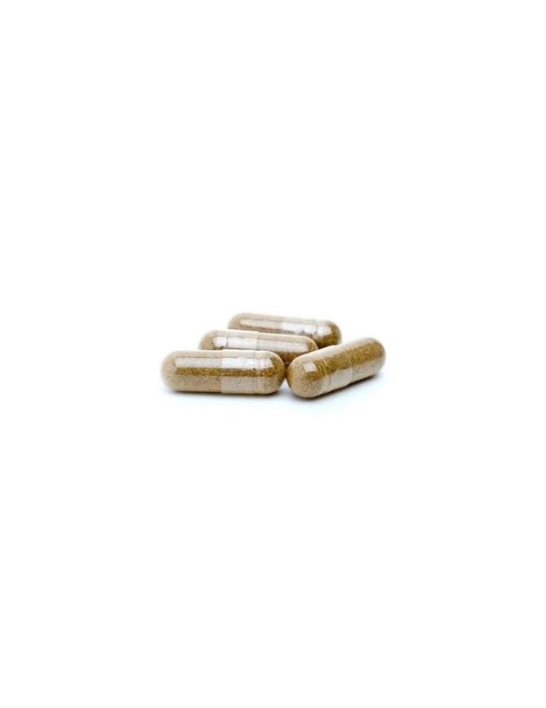 Propolit | Propol Caps BIO