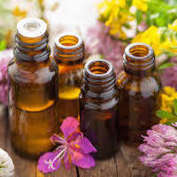 Essential Oils for Gardening