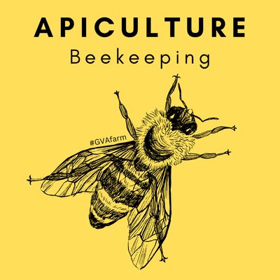 Beekeeping Services