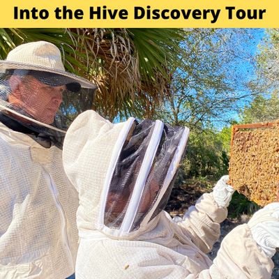 Discovery &amp; Education