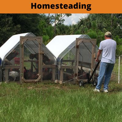 Homesteading