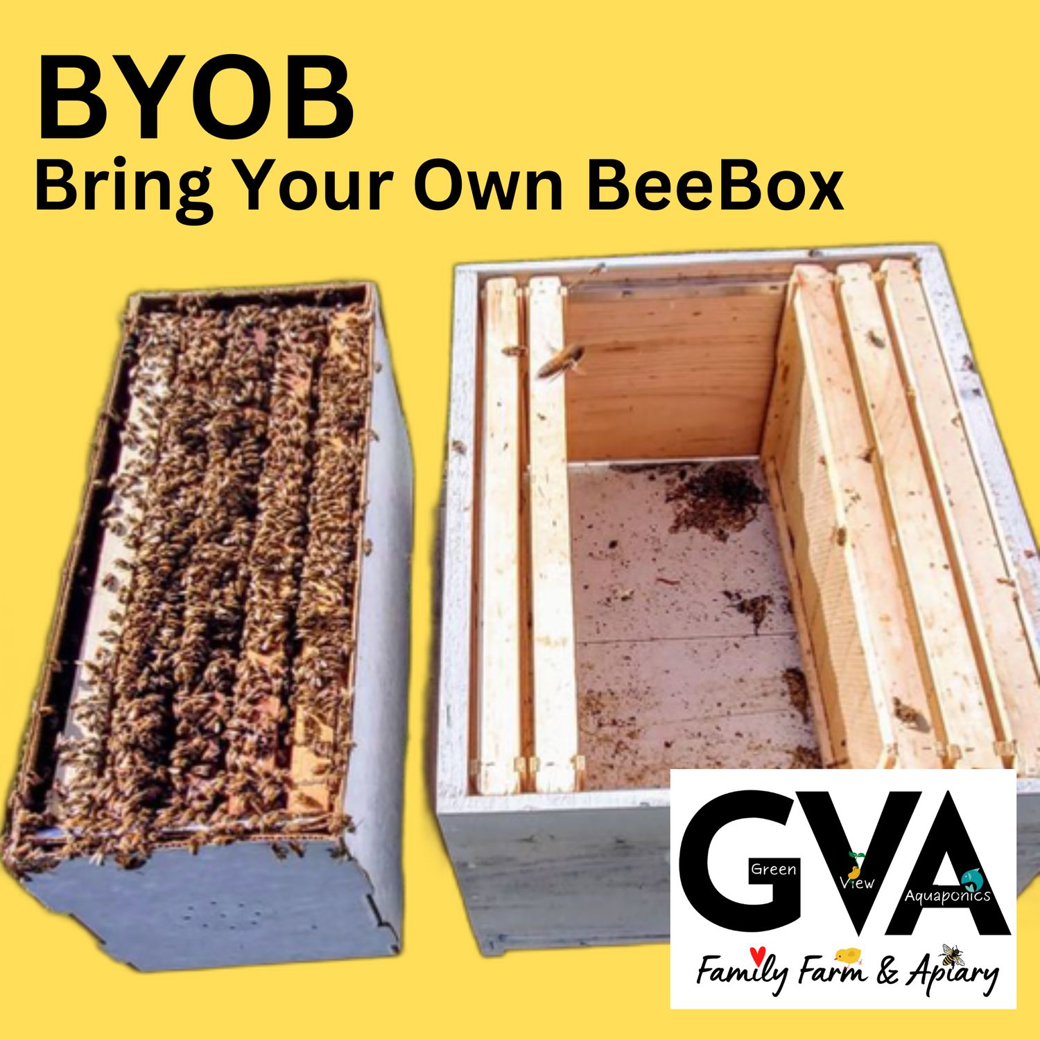 Live Honey Bees 2025 | 5-frame NUC, name: 5-frame NUC (BYOB)