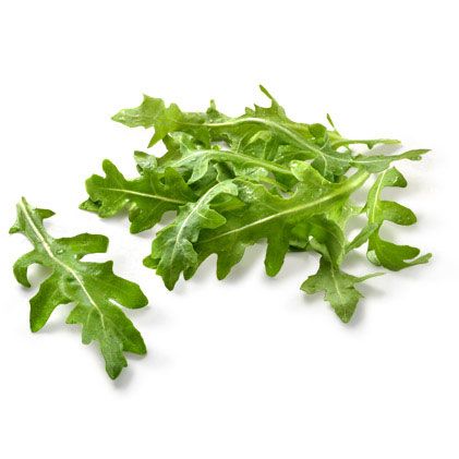 Baby Greens | Organic Arugula