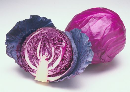 Cabbage | Organic |  Red | Green | Napa | Local