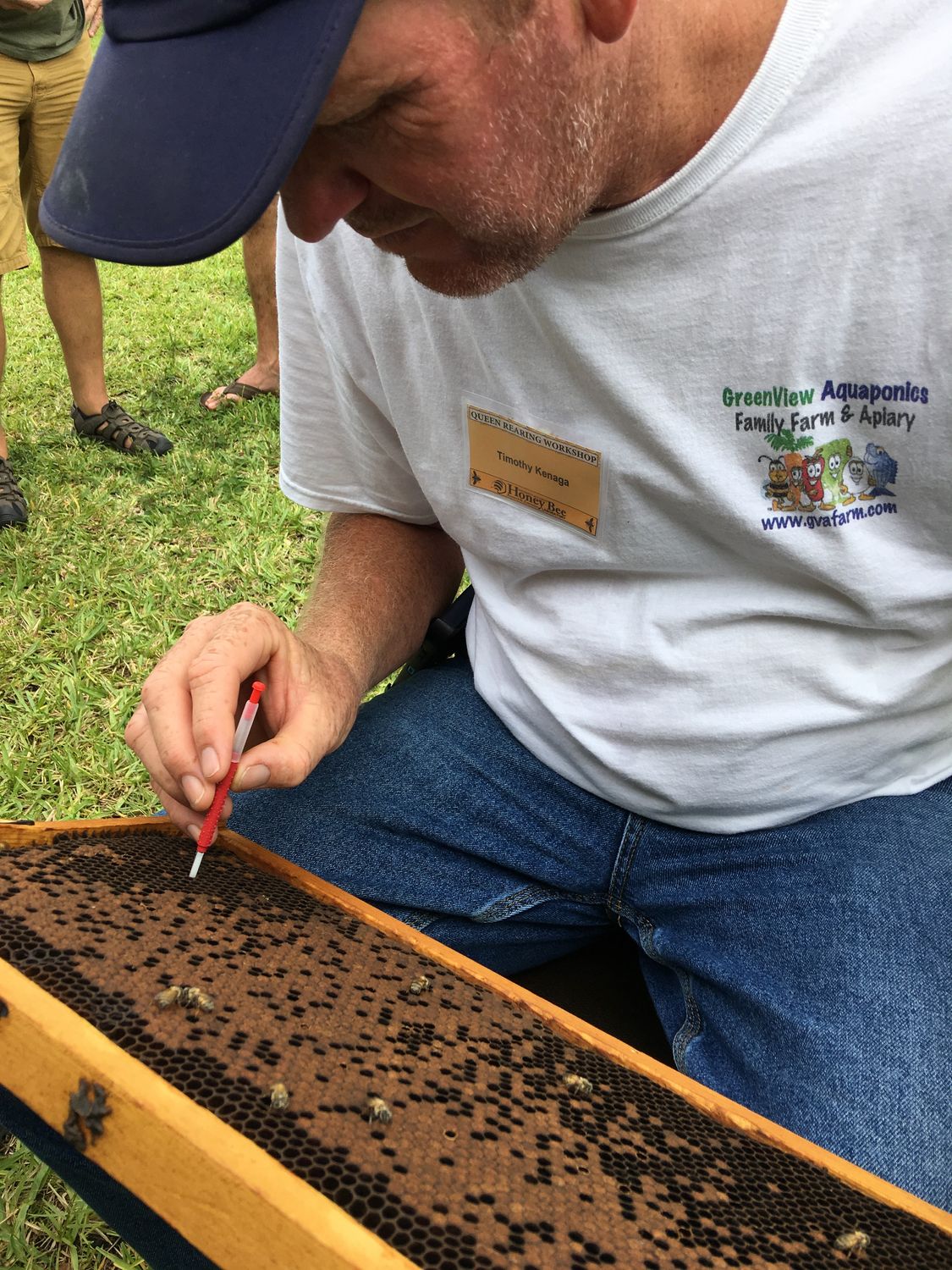 Live Bees | Honey Bee Queen | Marked | 2026 PreOrder