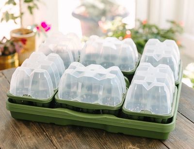Greenstalk Seed Starting Kit w Domes | Evergreen