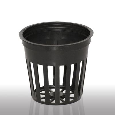Aquaponic Basics | Net Pots 2" for Aquaponics & Hydroponics Aquaponic Basics | Net Pots 2" for Aquaponics & Hydroponics