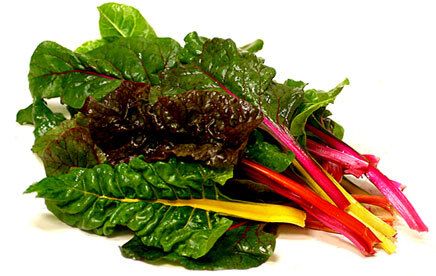 Baby Greens | Arugula | Kale | SwissChard, name: Baby Swiss Chard 5 oz+/-