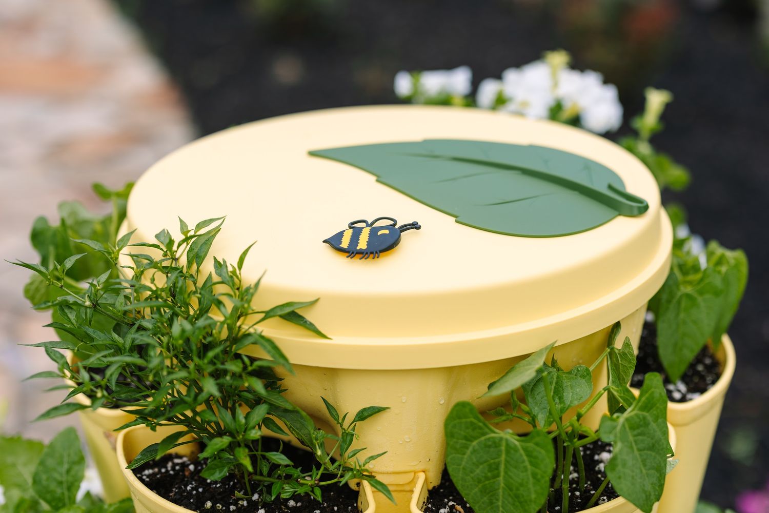 GreenStalk Garden Lid | Lemon