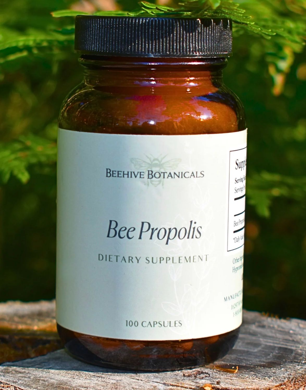 Apitherapy | Propolis Capsules | 100 capsules