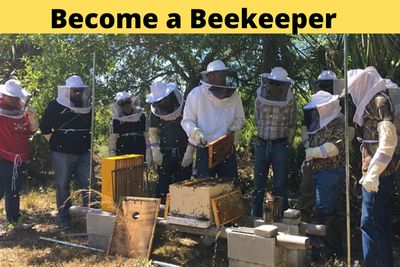Bee101 | Intro to Beekeeping | Become a Beekeeper 2-day Hands-On Workshop Bee101 | Intro to Beekeeping | Become a Beekeeper 2-day Hands-On Workshop