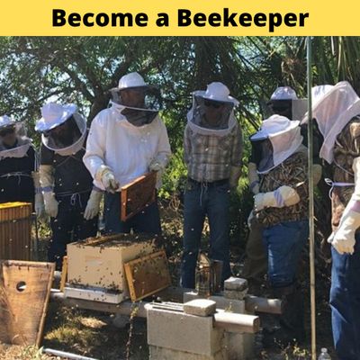 Event | Bee101 Intro to Beekeeping | Become a Beekeeper 2-day Hands-On Workshop Event | Bee101 Intro to Beekeeping | Become a Beekeeper 2-day Hands-On Workshop