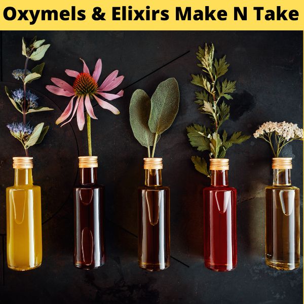 Event | Bee103 Products of the Hive™ Make-N-Take Workshop Series | Oxymels &amp; Elixirs from Honey | July