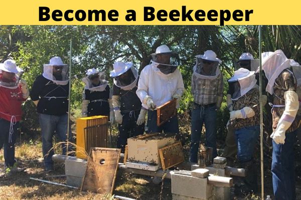 Event | Bee101 | Intro to Beekeeping | Become a Beekeeper 2-day Hands-On Workshop | Individual w Equipment Kit