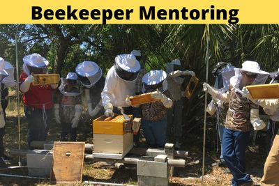 Event2026 | Beekeeper Mentoring | Hands On Year 1 w Experienced Beekeeper | Subscription 3-pay