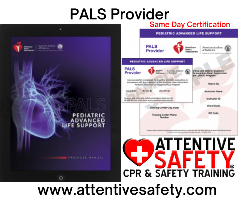 Group PALS Training &amp; Certification (10+ Participants – We Come to You!)