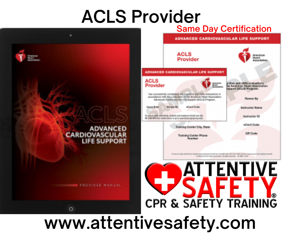 Group ACLS Provider 10-19 people
