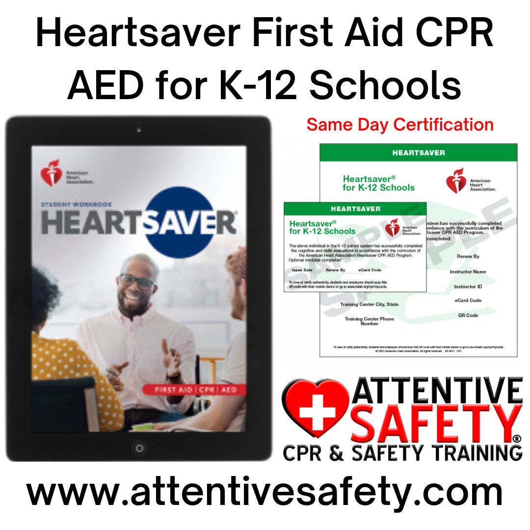 Group Heartsaver First Aid CPR AED for K-12 Schools for 5+ people