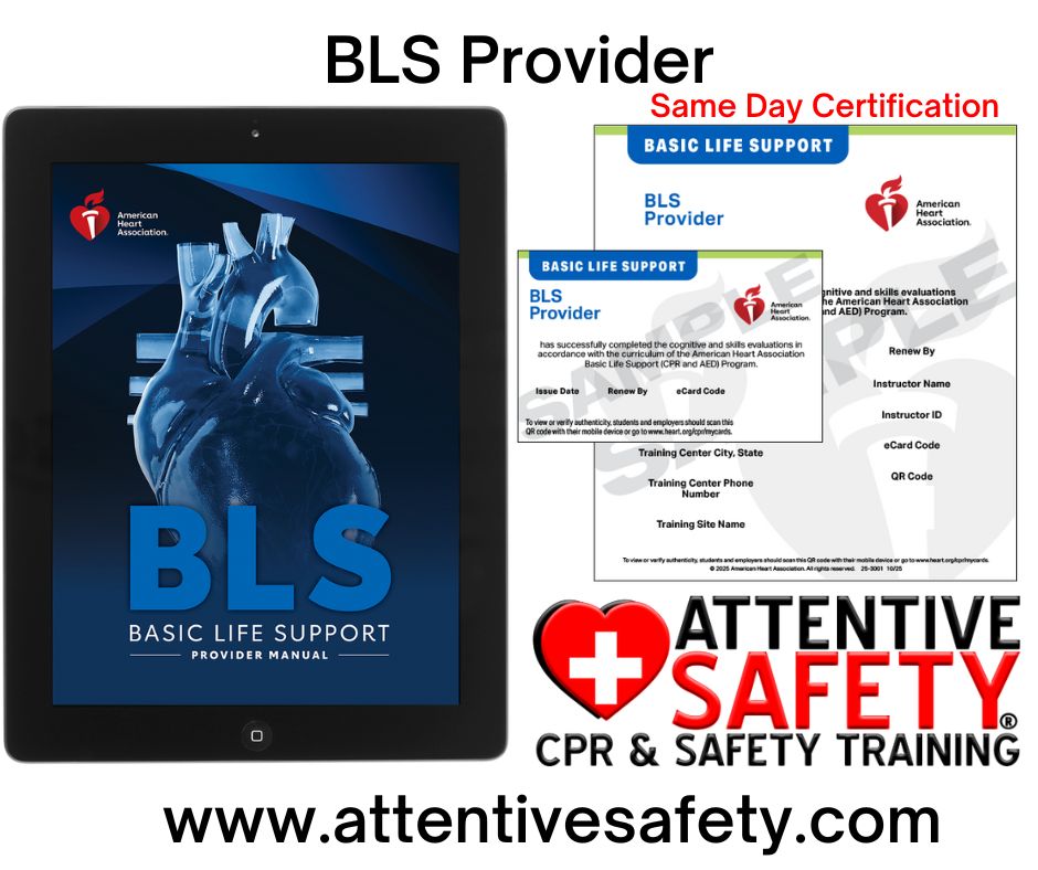 BLS Provider BLS Provider