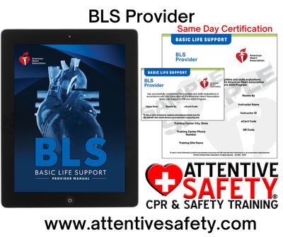 BLS Provider BLS Provider