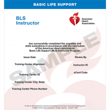 AHA BLS Instructor Renewal