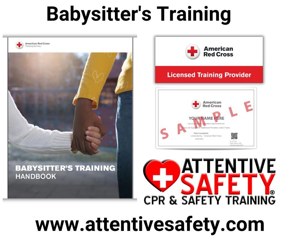 Babysitter's Training